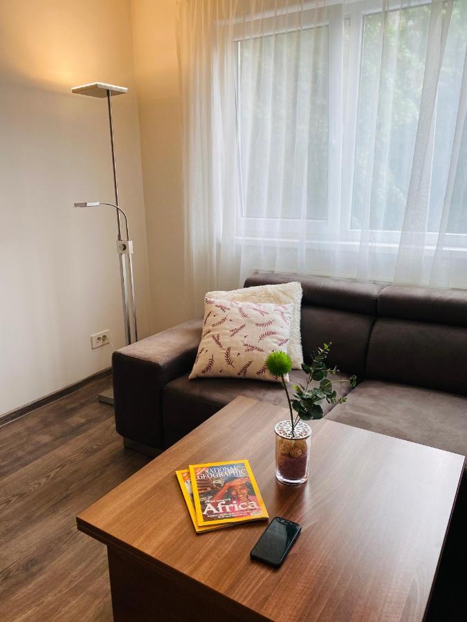 City Center Apartment Timişoara Exterior foto